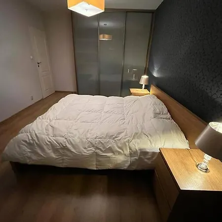 Przestronny Rynek Apartment *